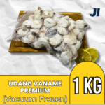 Udang
