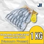 Ikan Layang / Malalugis Biru